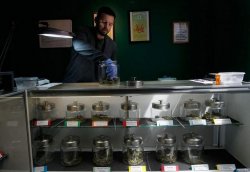 Drew Brown tends to the supply of marijuana at the Abundant Healing medical marijuana dispensary in Fort Collins, Colo., last year. Colorado is the only state that allows for-profit marijuana dispensaries, and now has some 700 statewide. (Getty Images File)